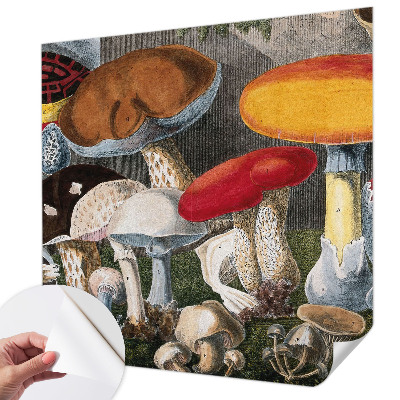 Fotomurale 3D Funghi botanici
