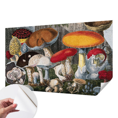 Fotomurale 3D Funghi botanici