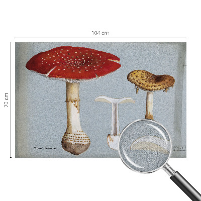 Carta da parati effetto profondità Incisioni di funghi