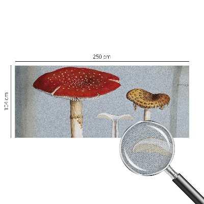 Carta da parati effetto profondità Incisioni di funghi