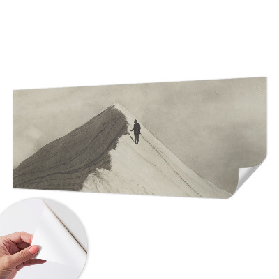 Carta da parati panoramica effetto 3D Scalatore solitario