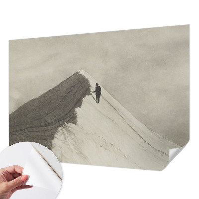 Carta da parati panoramica effetto 3D Scalatore solitario