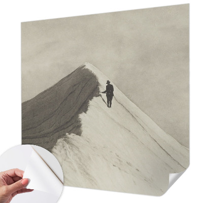 Carta da parati panoramica effetto 3D Scalatore solitario