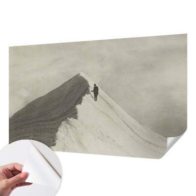 Carta da parati panoramica effetto 3D Scalatore solitario