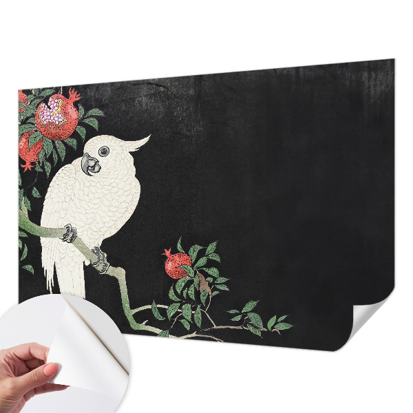 Carta da parati 3D Pappagallo melograno