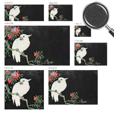 Carta da parati 3D Pappagallo melograno