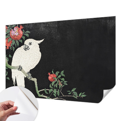 Carta da parati 3D Pappagallo melograno