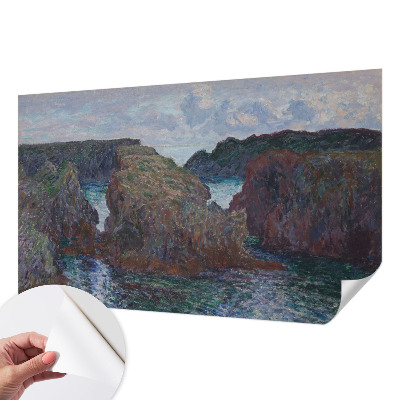 Fotomurale adesivo costa rocciosa