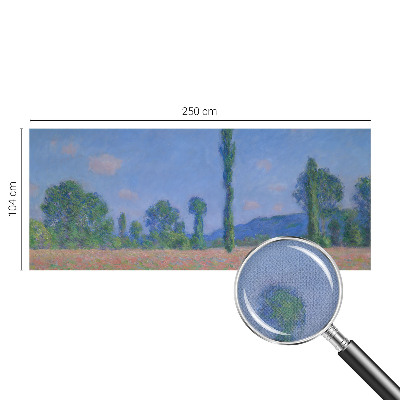 Carta da parati panoramica effetto 3D Il fascino della natura