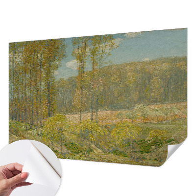 Carta da parati 3D Paesaggio forestale