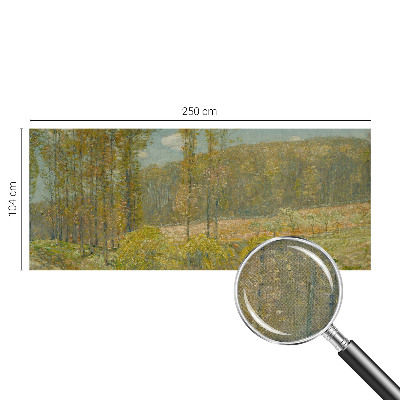 Carta da parati 3D Paesaggio forestale