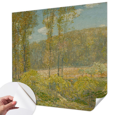 Carta da parati 3D Paesaggio forestale