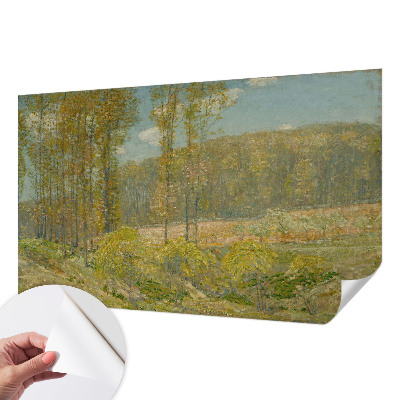 Carta da parati 3D Paesaggio forestale