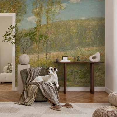 Carta da parati 3D Paesaggio forestale