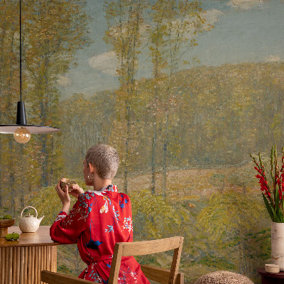 Carta da parati 3D Paesaggio forestale