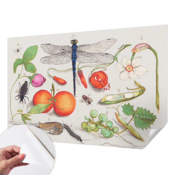 Fotomurale 3D Illustrazione naturalistica