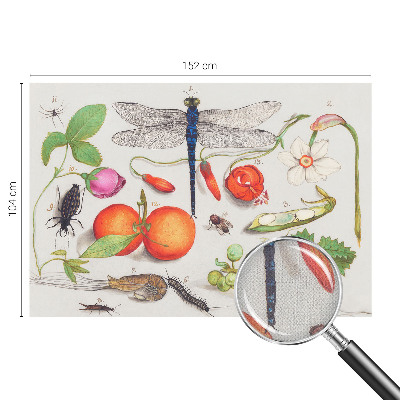 Fotomurale 3D Illustrazione naturalistica