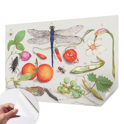Fotomurale 3D Illustrazione naturalistica