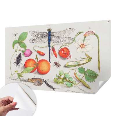 Fotomurale 3D Illustrazione naturalistica