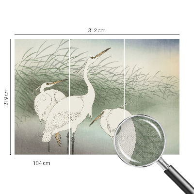 Carta da parati effetto profondità Aironi nell'erba