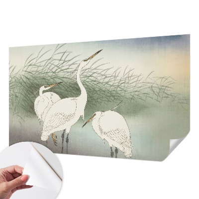 Carta da parati effetto profondità Aironi nell'erba