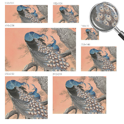 Fotomurale per cameretta Eleganza da pavone