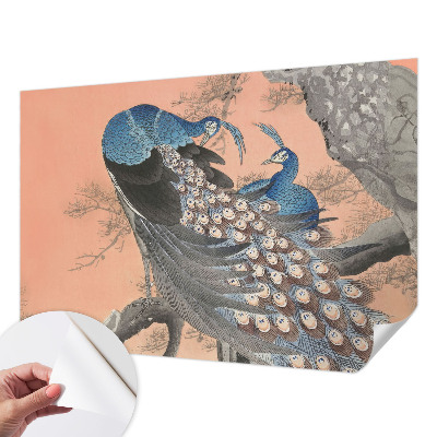 Fotomurale per cameretta Eleganza da pavone