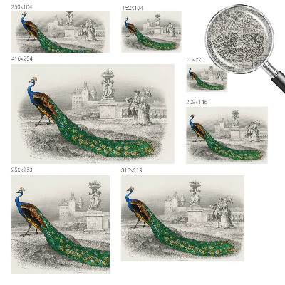 Fotomurale per bambini Piume colorate