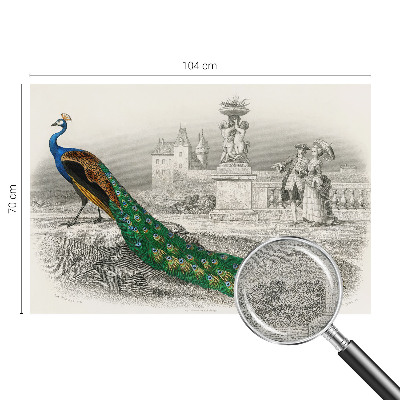 Fotomurale per bambini Piume colorate