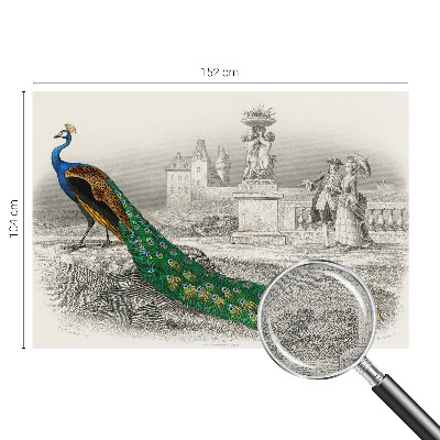 Fotomurale per bambini Piume colorate