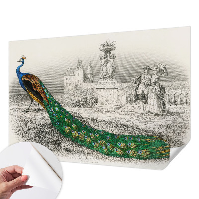 Fotomurale per bambini Piume colorate