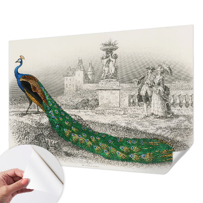 Fotomurale per bambini Piume colorate