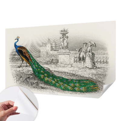 Fotomurale per bambini Piume colorate