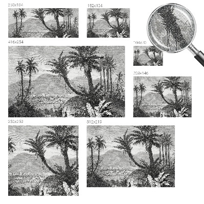 Carta da parati 3D oasi tropicale