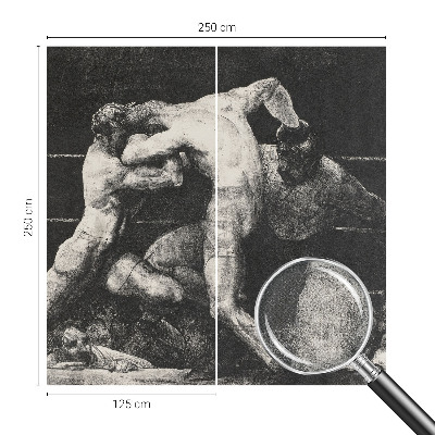 Carta da parati 3D Duello tra pugili