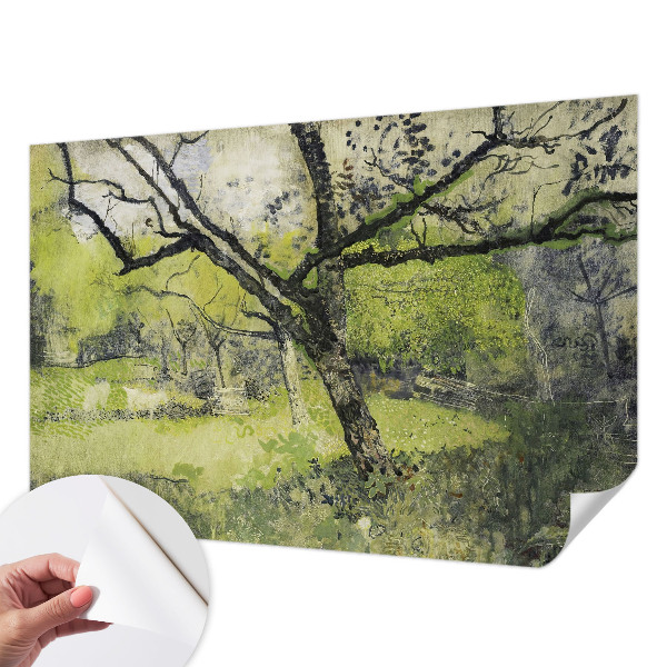 Fotomurale 3D Parco primaverile