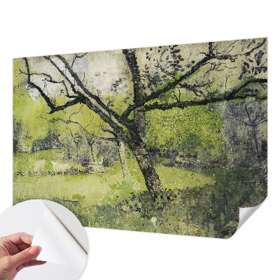 Fotomurale 3D Parco primaverile