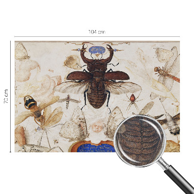 Fotomurale effetto 3D Armonia naturale