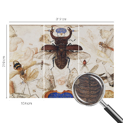 Fotomurale effetto 3D Armonia naturale