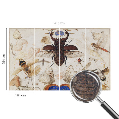 Fotomurale effetto 3D Armonia naturale