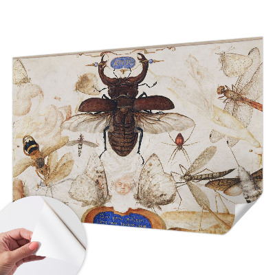 Fotomurale effetto 3D Armonia naturale