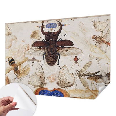 Fotomurale effetto 3D Armonia naturale