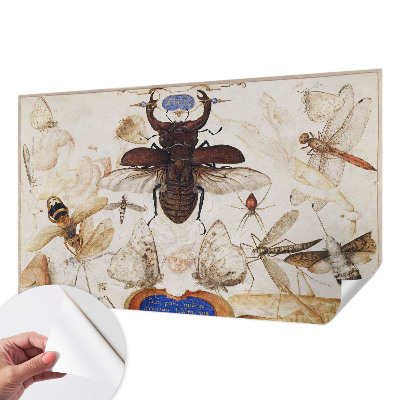 Fotomurale effetto 3D Armonia naturale