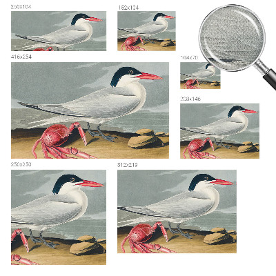 Carta da parati adesiva Paesaggio marino