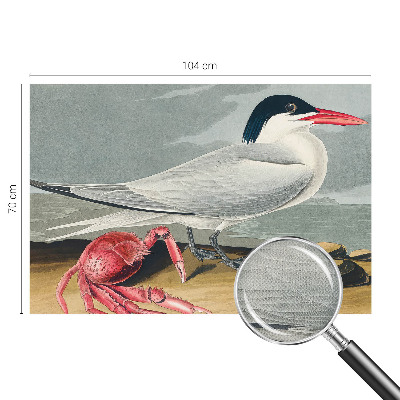 Carta da parati adesiva Paesaggio marino