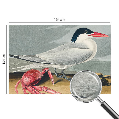 Carta da parati adesiva Paesaggio marino