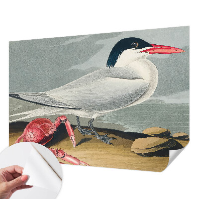 Carta da parati adesiva Paesaggio marino