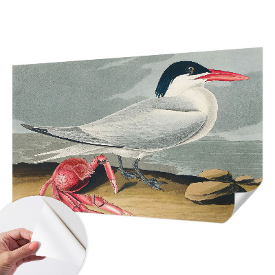 Carta da parati adesiva Paesaggio marino