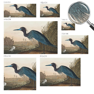 Carta da parati effetto profondità Uccelli acquatici