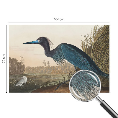 Carta da parati effetto profondità Uccelli acquatici